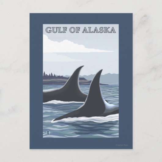 Orca Whales #1 - Gulf of Alaska Briefkaart (Voorkant)