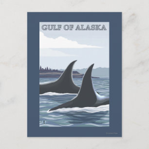 Orca Whales #1 - Gulf of Alaska Briefkaart