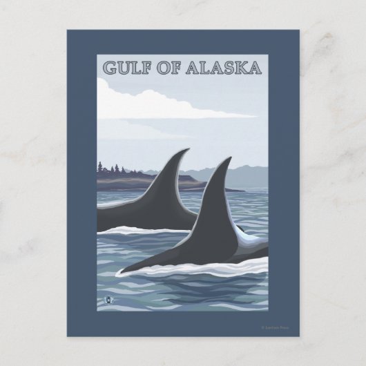 Orca Whales #1 - Gulf of Alaska Briefkaart (Voorkant)