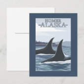 Orca Whales #1 - Homer, Alaska Briefkaart (Voorkant / Achterkant)