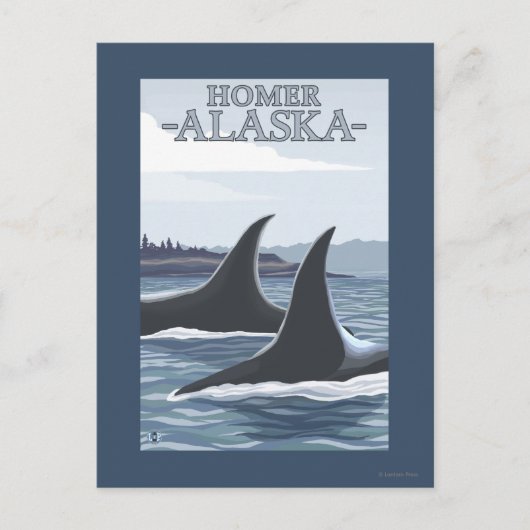 Orca Whales #1 - Homer, Alaska Briefkaart (Voorkant)
