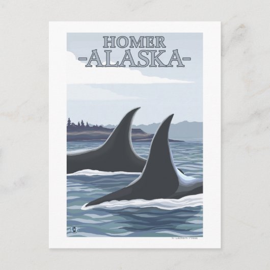 Orca Whales #1 - Homer, Alaska Briefkaart (Voorkant)