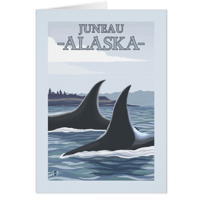Orca Whales #1 - Juneau, Alaska (Voorkant)