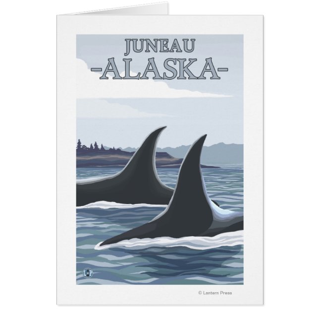 Orca Whales #1 - Juneau, Alaska (Voorkant)