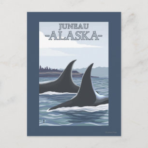 Orca Whales #1 - Juneau, Alaska Briefkaart