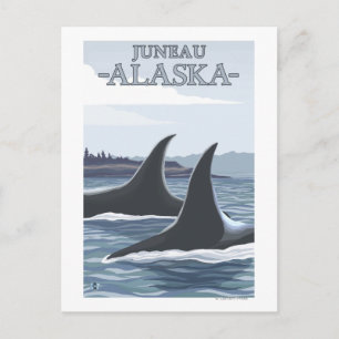 Orca Whales #1 - Juneau, Alaska Briefkaart