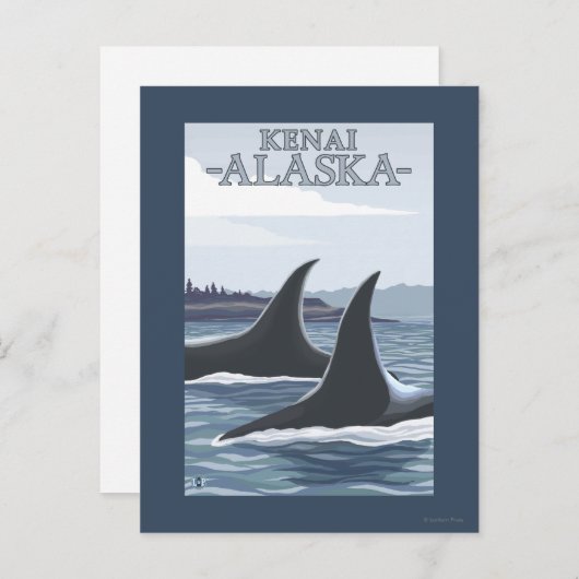 Orca Whales #1 - Kenia, Alaska Briefkaart (Voorkant / Achterkant)