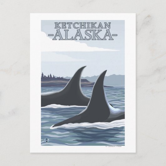 Orca Whales #1 - Ketchikan, Alaska Briefkaart (Voorkant)