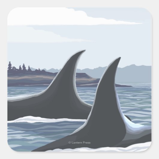 Orca Whales #1 - Ketchikan, Alaska Vierkante Sticker (Voorkant)