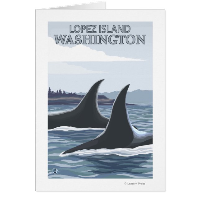 Orca Whales #1 - Lopez, Washington (Voorkant)