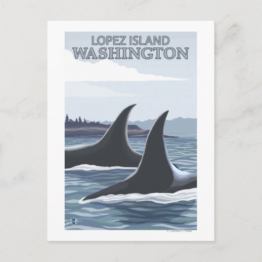 Orca Whales #1 - Lopez, Washington Briefkaart (Voorkant)