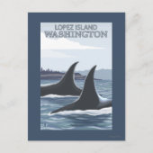 Orca Whales #1 - Lopez, Washington Briefkaart (Voorkant)
