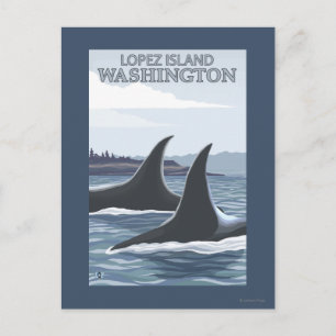 Orca Whales #1 - Lopez, Washington Briefkaart