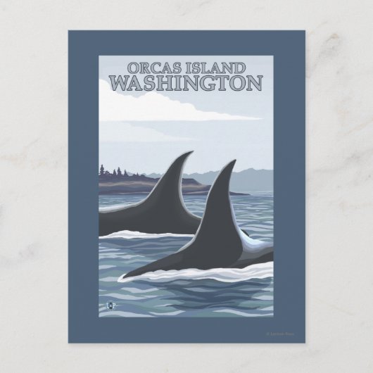 Orca Whales #1 - Orcas Island, Washington Briefkaart (Voorkant)