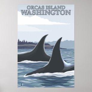 Orca Whales #1 - Orcas Island, Washington Poster