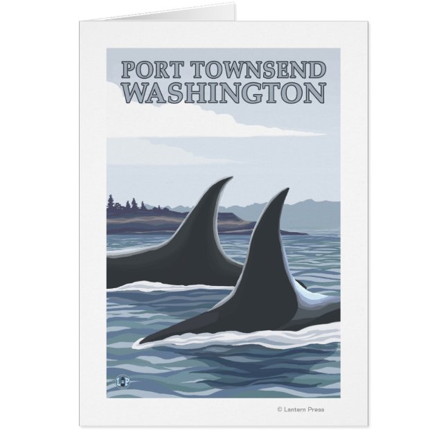 Orca Whales #1 - Port Townsend, Washington (Voorkant)