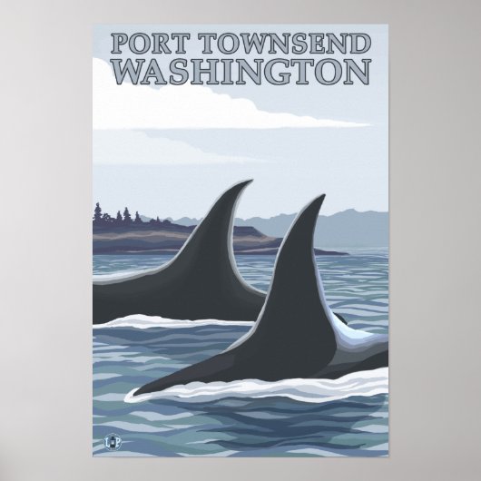 Orca Whales #1 - Port Townsend, Washington Poster (Voorkant)