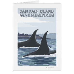 Orca Whales #1 - San Juan Island, Washington
