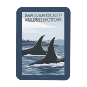 Orca Whales #1 - San Juan Island, Washington Magneet