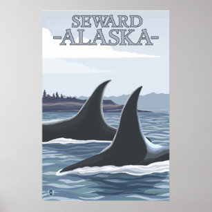 Orca Whales #1 - Seward, Alaska Poster
