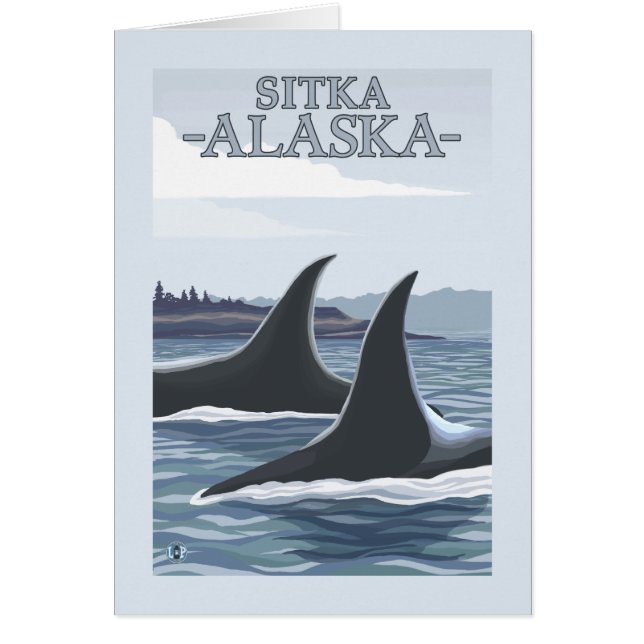 Orca Whales #1 - Sitka, Alaska (Voorkant)