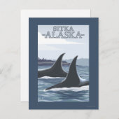 Orca Whales #1 - Sitka, Alaska Briefkaart (Voorkant / Achterkant)