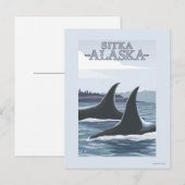 Orca Whales #1 - Sitka, Alaska Briefkaart (Voorkant / Achterkant)