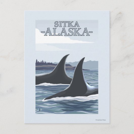 Orca Whales #1 - Sitka, Alaska Briefkaart (Voorkant)