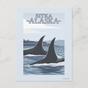 Orca Whales #1 - Sitka, Alaska Briefkaart