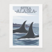 Orca Whales #1 - Sitka, Alaska Briefkaart (Voorkant)