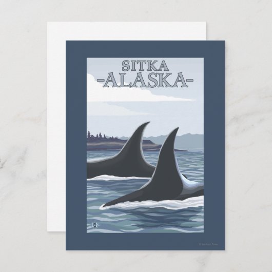 Orca Whales #1 - Sitka, Alaska Briefkaart (Voorkant / Achterkant)