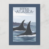 Orca Whales #1 - Sitka, Alaska Briefkaart (Voorkant)