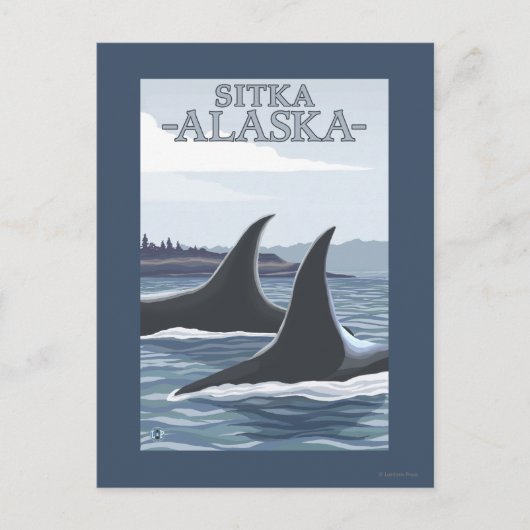 Orca Whales #1 - Sitka, Alaska Briefkaart (Voorkant)