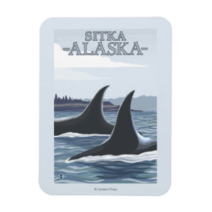 Orca Whales #1 - Sitka, Alaska Magneet