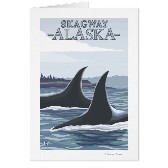 Orca Whales #1 - Skagway, Alaska (Voorkant)