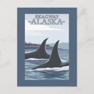 Orca Whales #1 - Skagway, Alaska Briefkaart