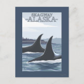 Orca Whales #1 - Skagway, Alaska Briefkaart (Voorkant)