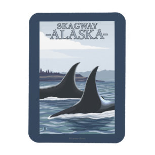 Orca Whales #1 - Skagway, Alaska Magneet