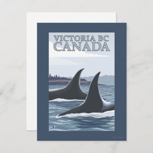 Orca Whales #1 - Victoria, BC Canada Briefkaart (Voorkant / Achterkant)