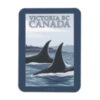 Orca Whales #1 - Victoria, BC Canada