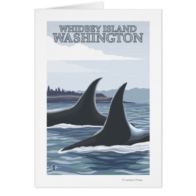 Orca Whales #1 - Whidbey, Washington (Voorkant)
