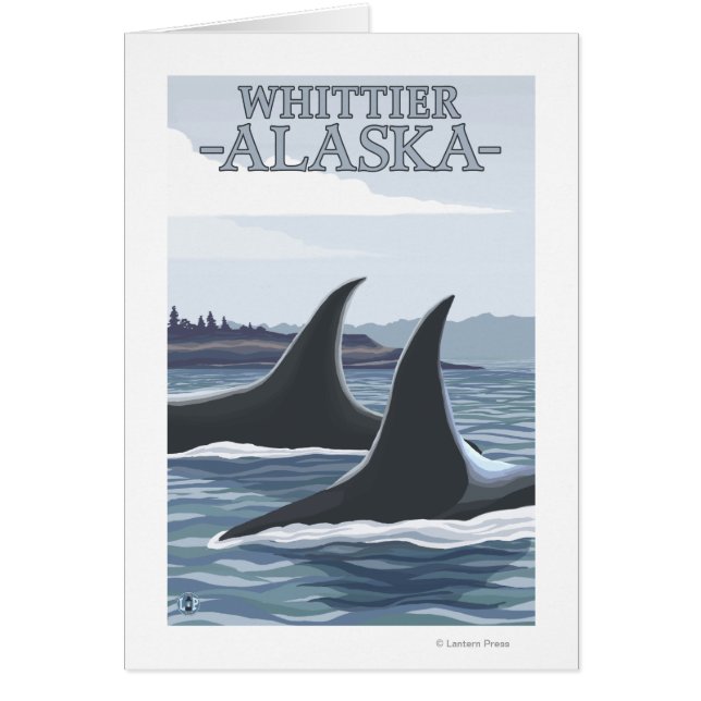 Orca Whales #1 - Whittier, Alaska (Voorkant)