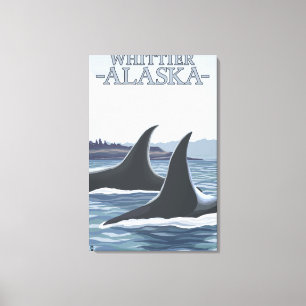 Orca Whales #1 - Whittier, Alaska Canvas Afdruk