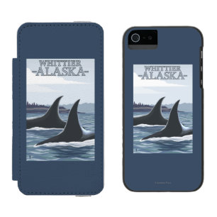 Orca Whales #1 - Whittier, Alaska