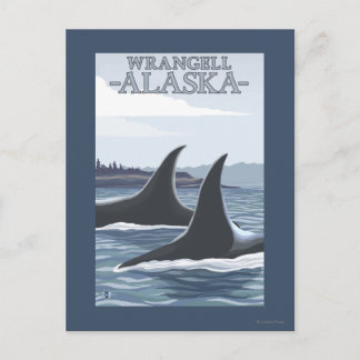 Orca Whales #1 - Wrangell, Alaska Briefkaart