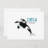 Orca Whales Briefkaart (Voorkant / Achterkant)