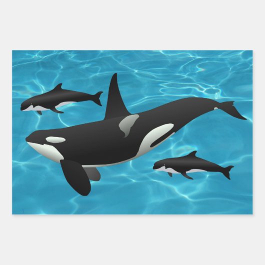 Orca Whales Inpakpapier Vel (Voorkant)