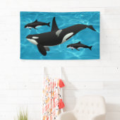 Orca Whales Spandoek (Insitu)