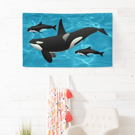 Orca Whales Spandoek (Insitu)