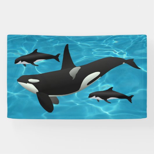 Orca Whales Spandoek (Horizontaal)